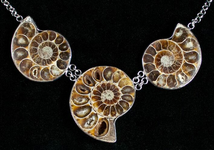 Triple Ammonite Necklace - Million Years Old #11901